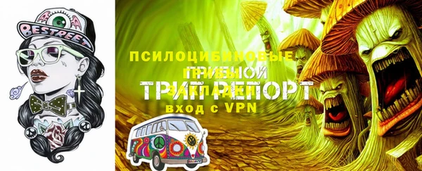 apvp Балабаново